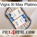 Vigra Xl Max Platinum kamagra1